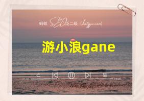 游小浪gane