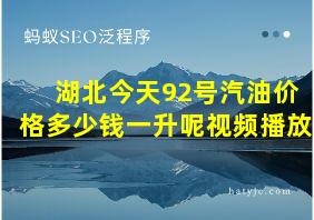 湖北今天92号汽油价格多少钱一升呢视频播放