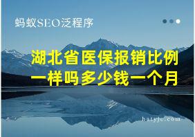 湖北省医保报销比例一样吗多少钱一个月