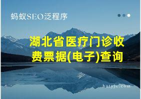 湖北省医疗门诊收费票据(电子)查询