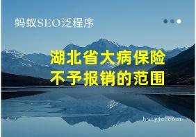 湖北省大病保险不予报销的范围