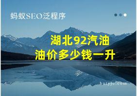 湖北92汽油油价多少钱一升