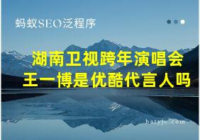 湖南卫视跨年演唱会王一博是优酷代言人吗