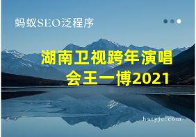 湖南卫视跨年演唱会王一博2021