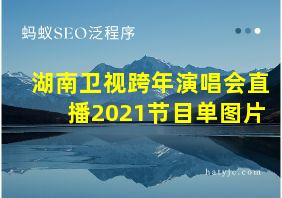 湖南卫视跨年演唱会直播2021节目单图片