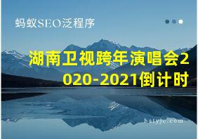 湖南卫视跨年演唱会2020-2021倒计时