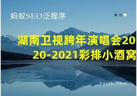 湖南卫视跨年演唱会2020-2021彩排小酒窝