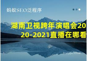 湖南卫视跨年演唱会2020-2021直播在哪看