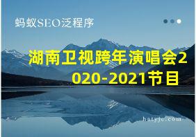 湖南卫视跨年演唱会2020-2021节目