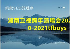 湖南卫视跨年演唱会2020-2021tfboys