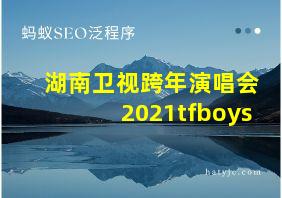 湖南卫视跨年演唱会2021tfboys