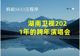 湖南卫视2021年的跨年演唱会