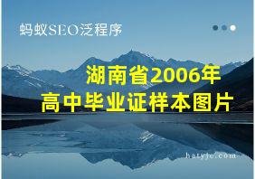 湖南省2006年高中毕业证样本图片