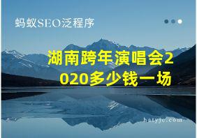 湖南跨年演唱会2020多少钱一场