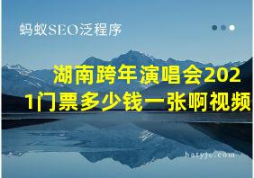 湖南跨年演唱会2021门票多少钱一张啊视频