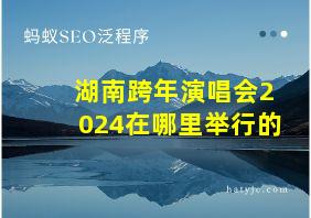 湖南跨年演唱会2024在哪里举行的