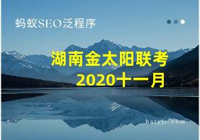 湖南金太阳联考2020十一月