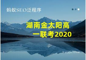 湖南金太阳高一联考2020