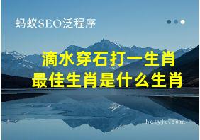 滴水穿石打一生肖最佳生肖是什么生肖