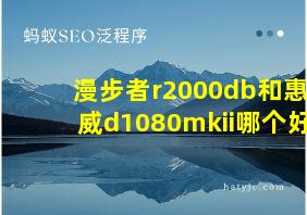 漫步者r2000db和惠威d1080mkii哪个好