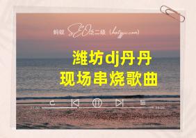 潍坊dj丹丹现场串烧歌曲