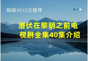 潜伏在黎明之前电视剧全集40集介绍