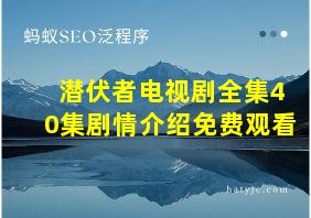 潜伏者电视剧全集40集剧情介绍免费观看