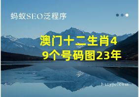 澳门十二生肖49个号码图23年