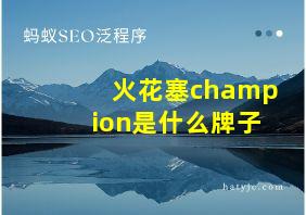 火花塞champion是什么牌子