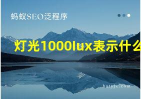 灯光1000Iux表示什么