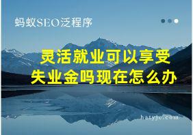 灵活就业可以享受失业金吗现在怎么办