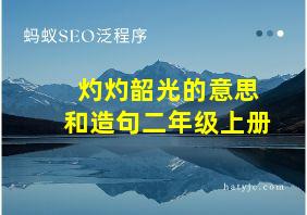 灼灼韶光的意思和造句二年级上册