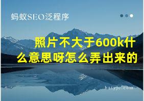 照片不大于600k什么意思呀怎么弄出来的