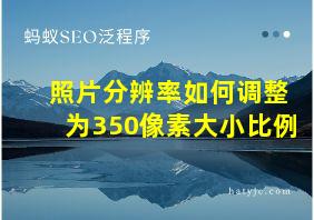 照片分辨率如何调整为350像素大小比例