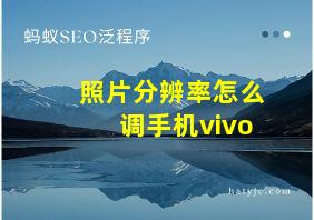 照片分辨率怎么调手机vivo