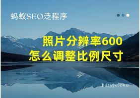 照片分辨率600怎么调整比例尺寸