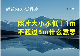 照片大小不低于1m不超过3m什么意思