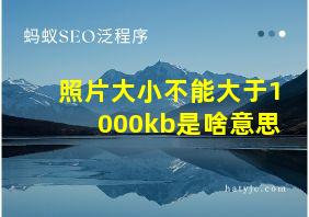 照片大小不能大于1000kb是啥意思