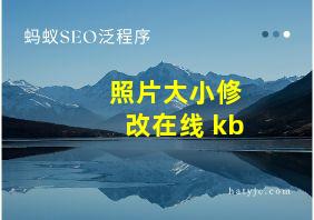 照片大小修改在线 kb