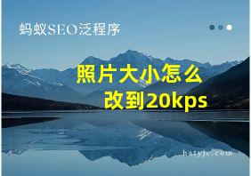 照片大小怎么改到20kps