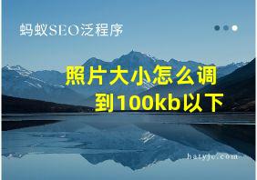 照片大小怎么调到100kb以下