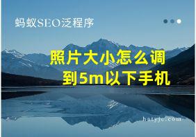 照片大小怎么调到5m以下手机