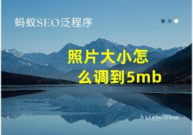 照片大小怎么调到5mb