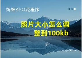 照片大小怎么调整到100kb