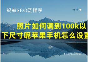 照片如何调到100k以下尺寸呢苹果手机怎么设置