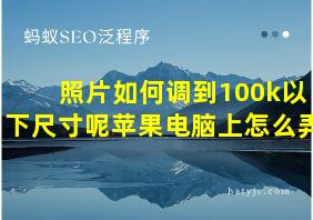 照片如何调到100k以下尺寸呢苹果电脑上怎么弄