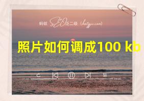 照片如何调成100 kb