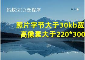 照片字节大于30kb宽高像素大于220*300