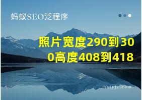 照片宽度290到300高度408到418