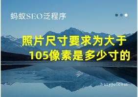 照片尺寸要求为大于105像素是多少寸的